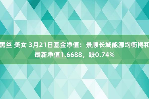 黑丝 美女 3月21日基金净值：景顺长城能源均衡搀和最新净值1.6688，跌0.74%