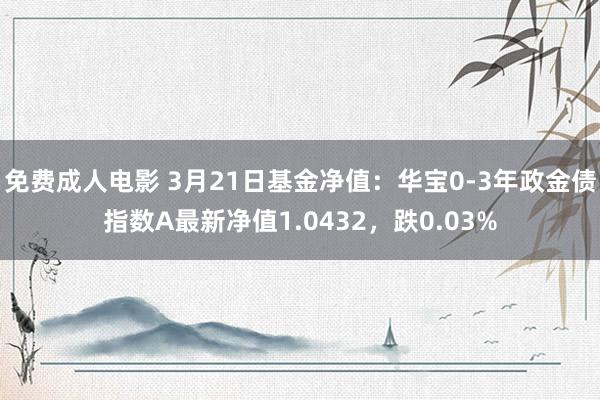 免费成人电影 3月21日基金净值：华宝0-3年政金债指数A最新净值1.0432，跌0.03%