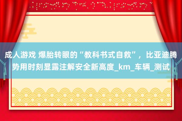 成人游戏 爆胎转眼的“教科书式自救”，比亚迪腾势用时刻显露注解安全新高度_km_车辆_测试