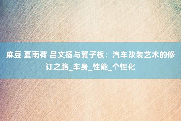 麻豆 夏雨荷 吕文扬与翼子板：汽车改装艺术的修订之路_车身_性能_个性化