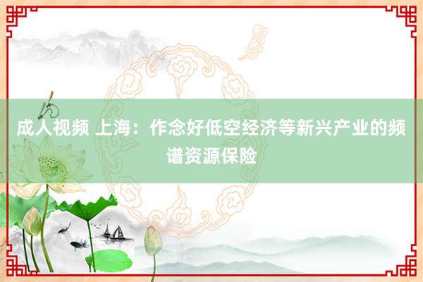 成人视频 上海：作念好低空经济等新兴产业的频谱资源保险