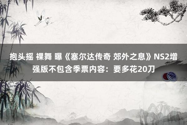 抱头摇 裸舞 曝《塞尔达传奇 郊外之息》NS2增强版不包含季票内容：要多花20刀