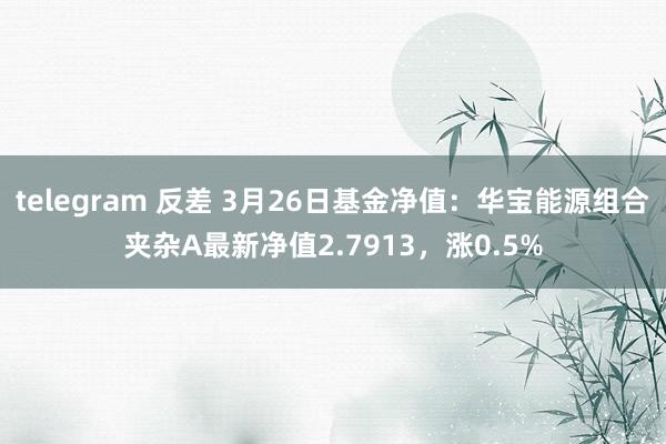 telegram 反差 3月26日基金净值：华宝能源组合夹杂A最新净值2.7913，涨0.5%