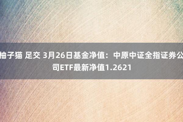 柚子猫 足交 3月26日基金净值：中原中证全指证券公司ETF最新净值1.2621