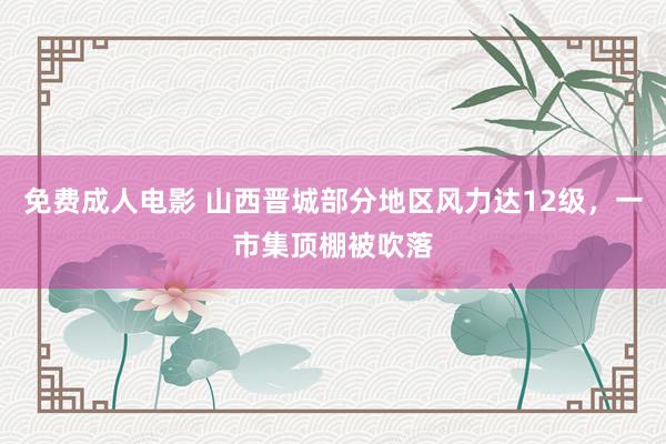 免费成人电影 山西晋城部分地区风力达12级，一市集顶棚被吹落