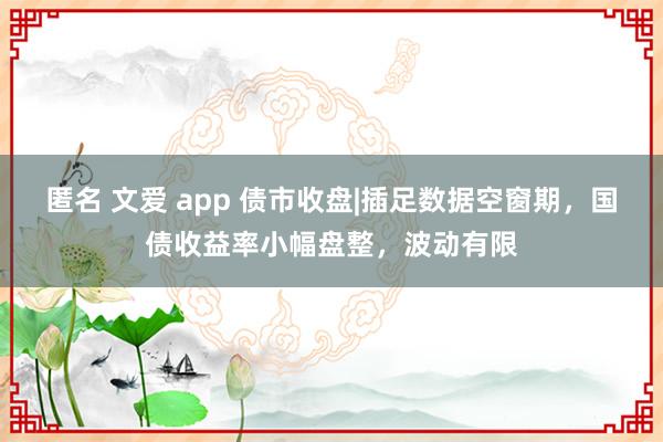 匿名 文爱 app 债市收盘|插足数据空窗期，国债收益率小幅盘整，波动有限