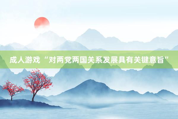 成人游戏 “对两党两国关系发展具有关键意旨”