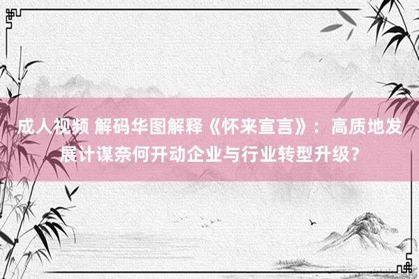 成人视频 解码华图解释《怀来宣言》：高质地发展计谋奈何开动企业与行业转型升级？