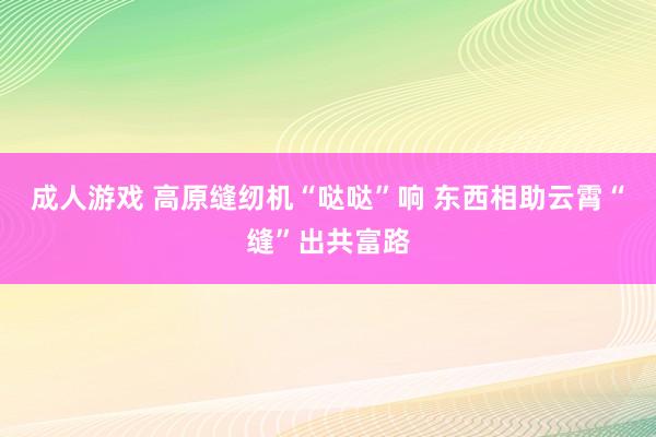 成人游戏 高原缝纫机“哒哒”响 东西相助云霄“缝”出共富路