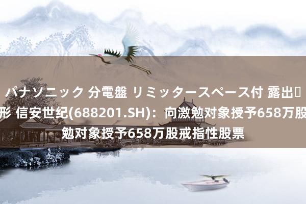 パナソニック 分電盤 リミッタースペース付 露出・半埋込両用形 信安世纪(688201.SH)：向激勉对象授予658万股戒指性股票