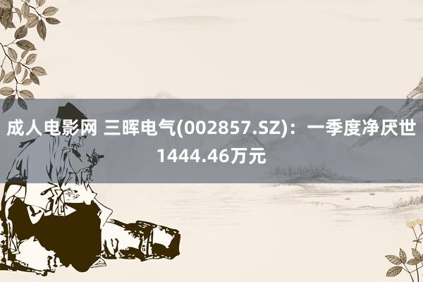 成人电影网 三晖电气(002857.SZ)：一季度净厌世1444.46万元