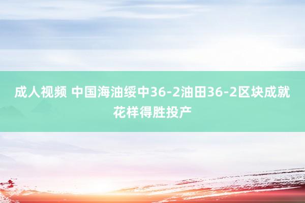 成人视频 中国海油绥中36-2油田36-2区块成就花样得胜投产