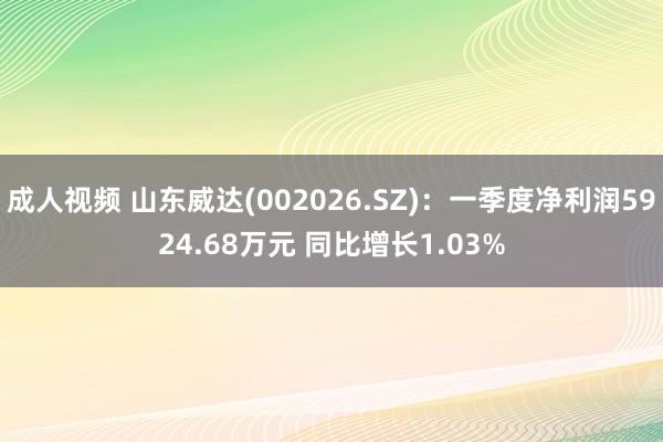 成人视频 山东威达(002026.SZ)：一季度净利润5924.68万元 同比增长1.03%