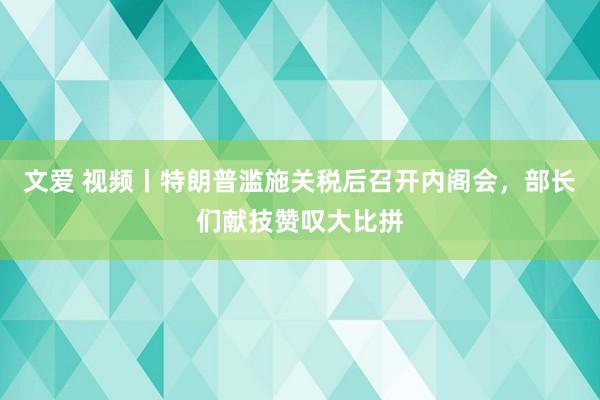 文爱 视频丨特朗普滥施关税后召开内阁会，部长们献技赞叹大比拼