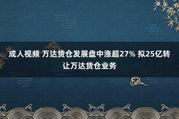 成人视频 万达货仓发展盘中涨超27% 拟25亿转让万达货仓业务